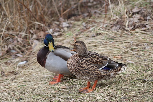Når du sidder fast: Ekspertens guide til at komme videre i krydsordet